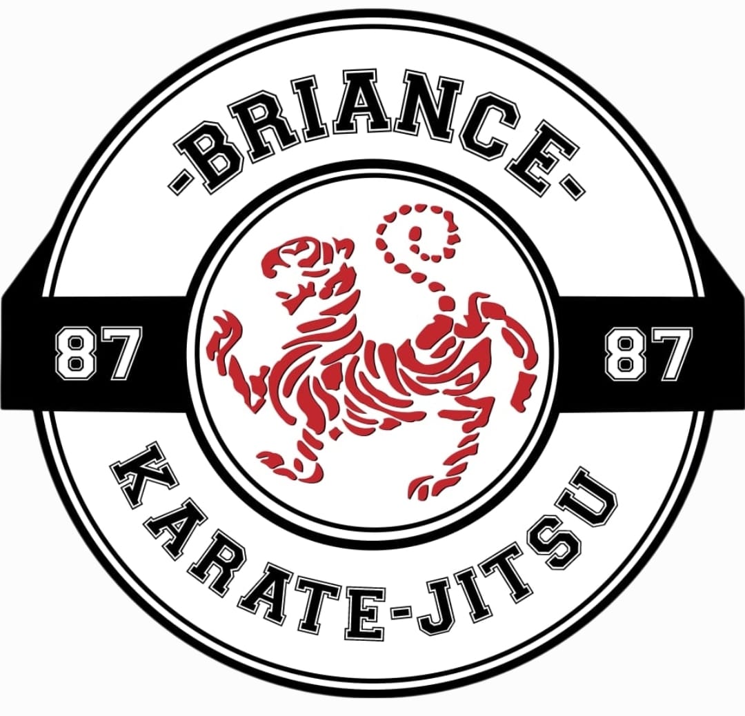 BRIANCE KARATE JITSU